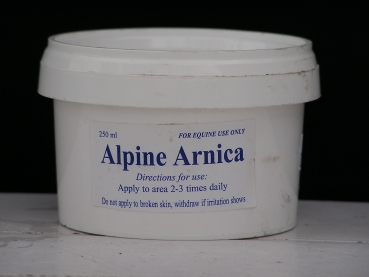Alpine Arnica